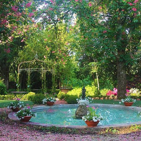 La Striscia Wine Resort Arezzo Exterior photo